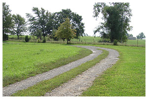 Winding gravel driveway through green fields with mature trees