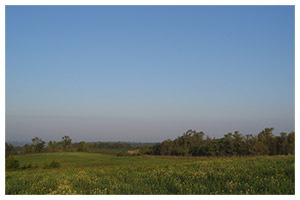 Open agricultural land stretching to the horizon