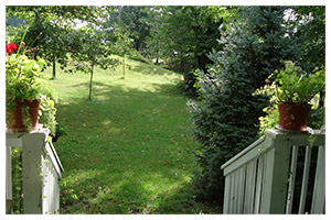 View from the farmhouse porch