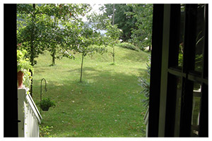 Farmhouse porch and lawn in summer
