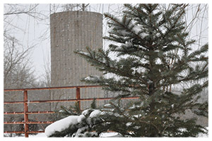 Winter scene on the farm property